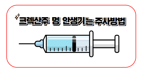 시험관 시술 과정 크렉산주 멍 안생기는 주사방법 4가지