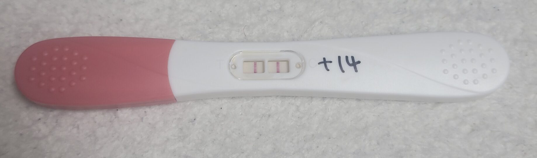 5일배양 14일차 2차 피검사 결과